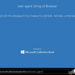 Internet Explorer 11 se identifica como Firefox para evitar CSS hacks