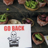 Obama aprueba ley que libera de responsabilidades legales a Monsanto