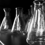 Se van los científicos… ¿vuelven las suecas?