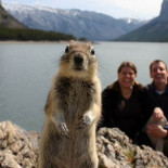 Las 50 mejores fotografías tomadas en el momento justo