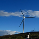 El lunes la electricidad costó 0 euros