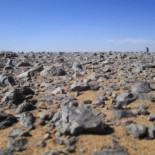 Cuando en el desierto nadaban peces