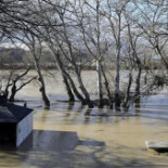 Limpiar los ríos, una actuación inútil y peligrosa