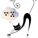 ¿Por qué le buscamos tres pies al gato en lugar de cinco?