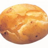 Empresaurios y emprendedores