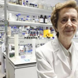 Radiografía de la patente más rentable de la historia de España