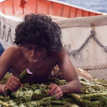 Pronto cualquier planta servirá como alimento saludable