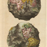 La Tierra sin océanos (1694)