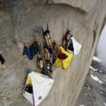 32 fotos que te revolverán el estómago