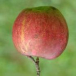 El lío de la gravedad y la antimateria