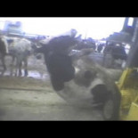 Primer juicio de la Ley "Ag-Gag" por filmar un matadero desde la vía pública