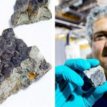 Hallan una muestra de piel de dinosaurio en Canadá