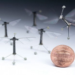La mosca robot levanta su primer vuelo