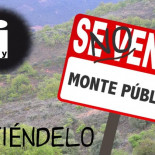 Contra la privatización de nuestros montes