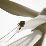 La eólica abarata un 23,2% el precio de la electricidad en el mercado mayorista