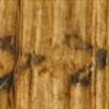 El Evangelio de Judas no es una falsificación