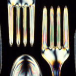 Desarrollan un bioplástico hecho con gluten de trigo