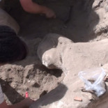 Egiptólogos catalanes encuentran una esfinge y millares de peces sagrados