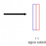 Una pregunta sobre la sal y la nieve