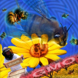 Indignación en Rusia que advierte a Obama: la batalla global sobre el "apocalisis de la abeja" se acerca [EN]