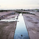 Un lagarto australiano muestra la evolución en directo: de poner huevos, a dar a luz [EN]