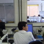 Científicos españoles encuentran una nueva vía para combatir el tumor cerebral más agresivo