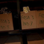 Amnistía Internacional: España bloquea las investigaciones sobre los crímenes del franquismo