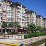 Hablan los vecinos: la biomasa no es un pufo, es más barata, es más limpia