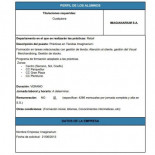 La empresa Imaginarium busca cubrir puestos de trabajo con becarios este verano: 426€/mes por 8 horas