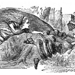 La Reina Roja tenía razón: la vida debe evolucionar permanentemente para evitar la extinción