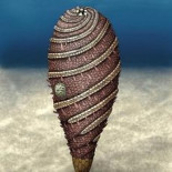 Desentierran en Marruecos una criatura de 520 millones de años