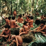 El último escondite del gusano que ha dejado ciegas a 500.000 personas