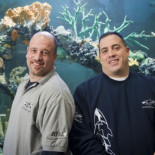 El mundo insólito de la TDT española