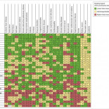 El desastroso modelo sanitario privado estadounidense