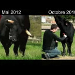 Fadjen, 400 kilos más tarde...