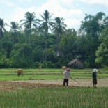 Camboya:  Voces silenciadas