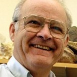 La vida en tierra firme es cuatro veces más vieja de lo que se conocía