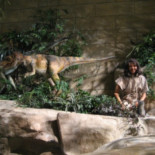 Museos Creacionistas: Fotografias del Horror Anticientífico (CAT)