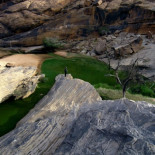Los cocodrilos del Sahel transforman un desierto en un ecosistema