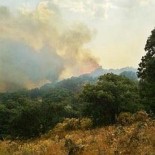 Detenido un guardia civil por causar 19 incendios en la Comunidad de Madrid