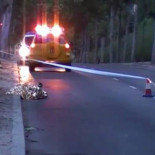 Detenido el conductor fugitivo que atropelló y mató a un ciclista en Madrid