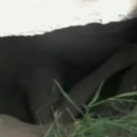 Un anciano sacrifica su vida por la de su nieto atrapado en un agujero