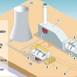 Esclavos eléctricos por real decreto