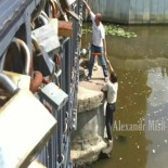 Personas salvando a animales