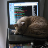 La historia de IRC en su 25 aniversario