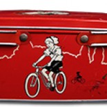 Científicos del Smithsonian descubren una nueva especie de carnívoro