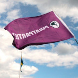 Partido Pirata: entre el bautizo parlamentario y la deriva electoral