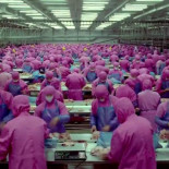 Sin decir una palabra este cortometraje de 6 minutos le dejará sin palabras