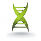 La vida sin insulina es posible