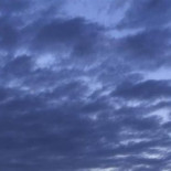 “Los señores del petróleo exigieron acabar con la ‘fantasía de los molinillos` porque peligraba su cuenta de resultados"